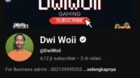Ulasan Akun YouTube Dwi Woii: Gameplay Fanny Selevel Montage Pro Player